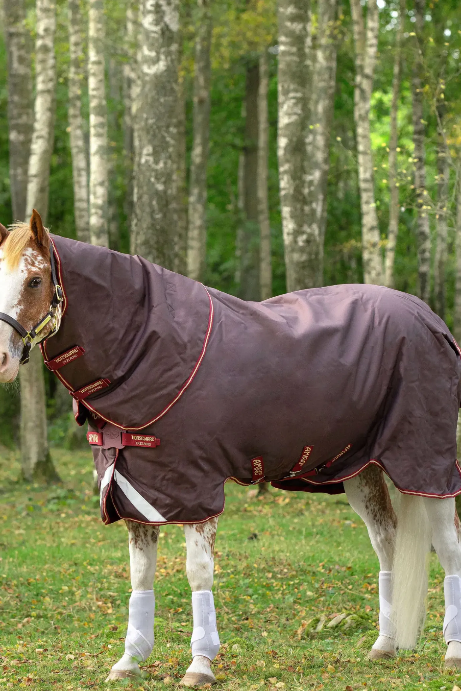 Couverture Horseware Amigo Bravo 12 Plus T/O 100 G D/Fr