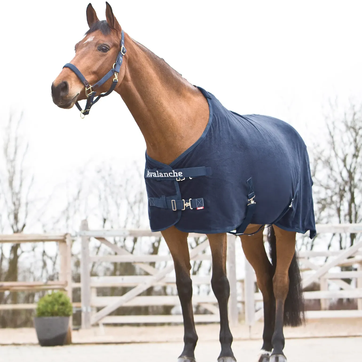 Couverture Polaire Avalanche Horze