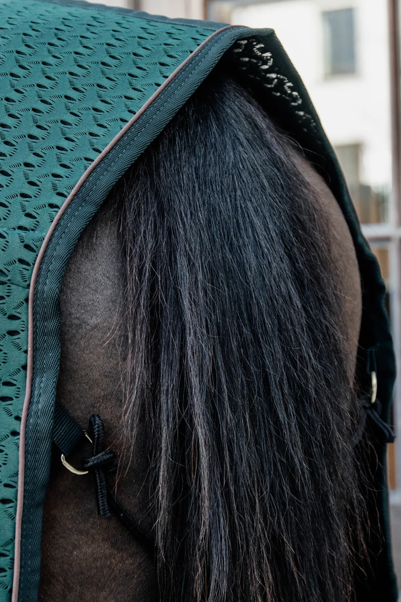 Couverture Sechante 4D Spacer Kentucky Horsewear