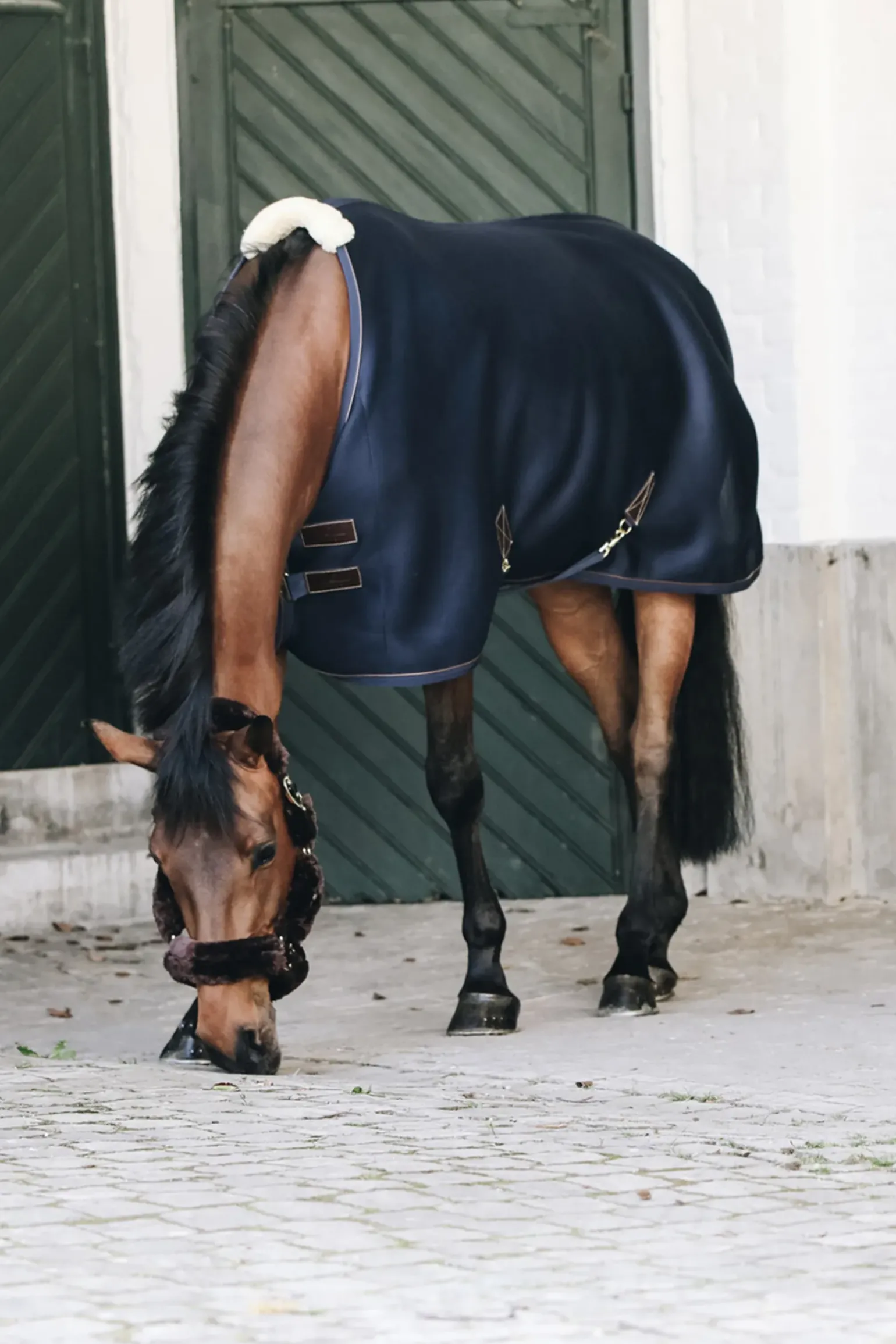 Couverture Sechante Kentucky Horseware Spacer 3D