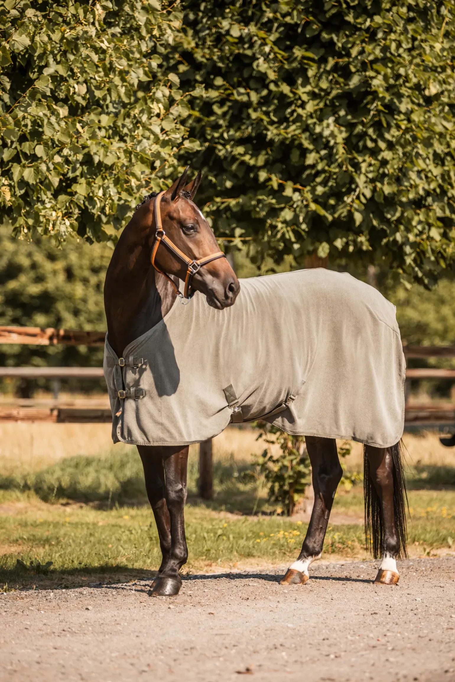 Couverture Sechante Polaire Horze Sandnes