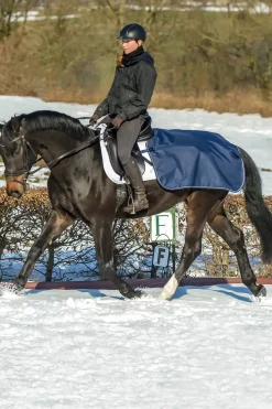 Couvre-Reins Bucas