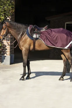 Couvre-Reins Horseware Amigo Ripstop