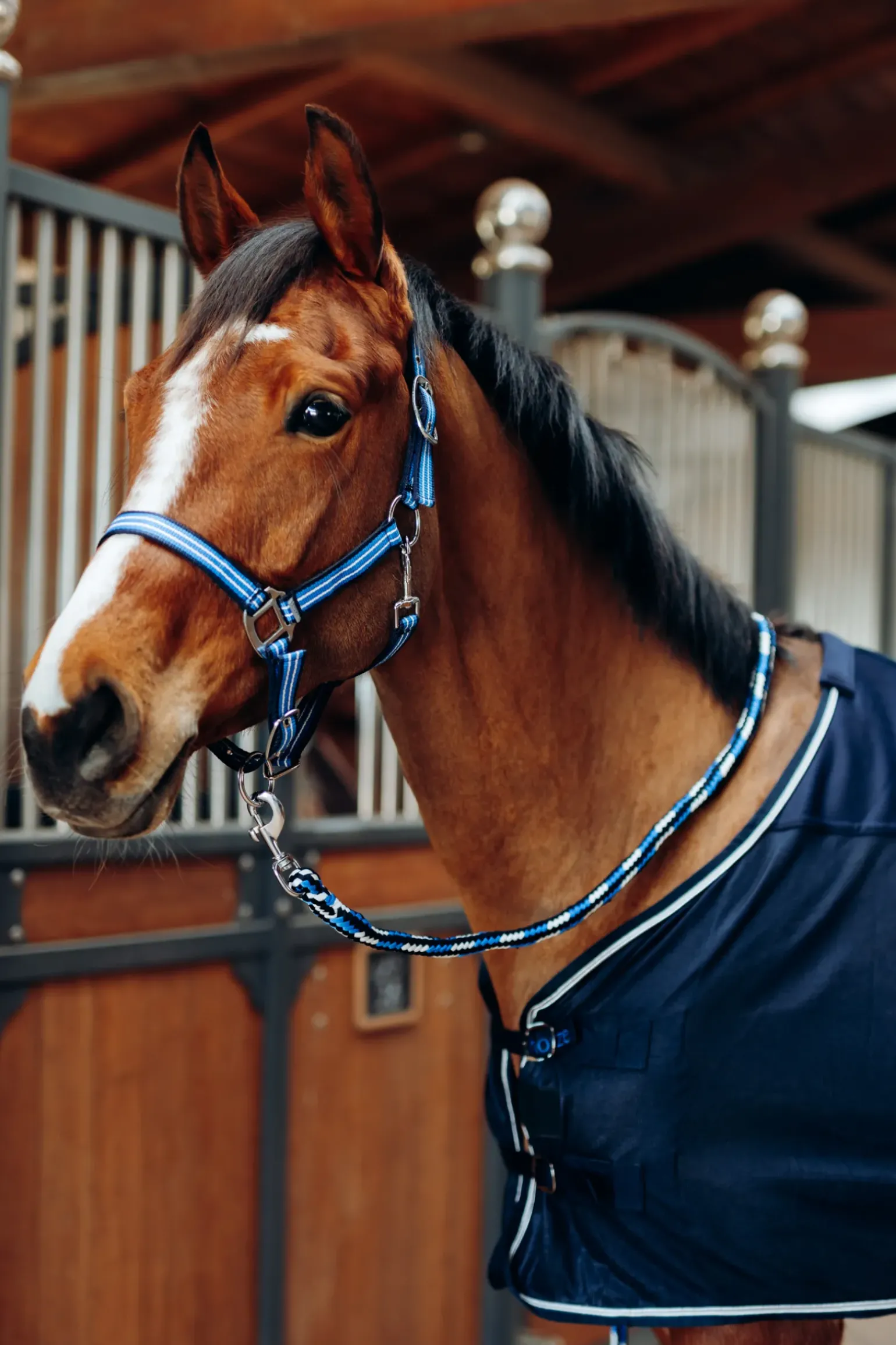 Ensemble Licol Et Longe Horze Ella Poney