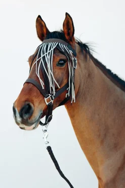 Ensemble Licol, Longe Et Bonnet Anti-Mouches Horze Moreton