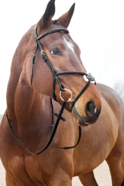 Filet A Muserolle Croisee Horze Prescott