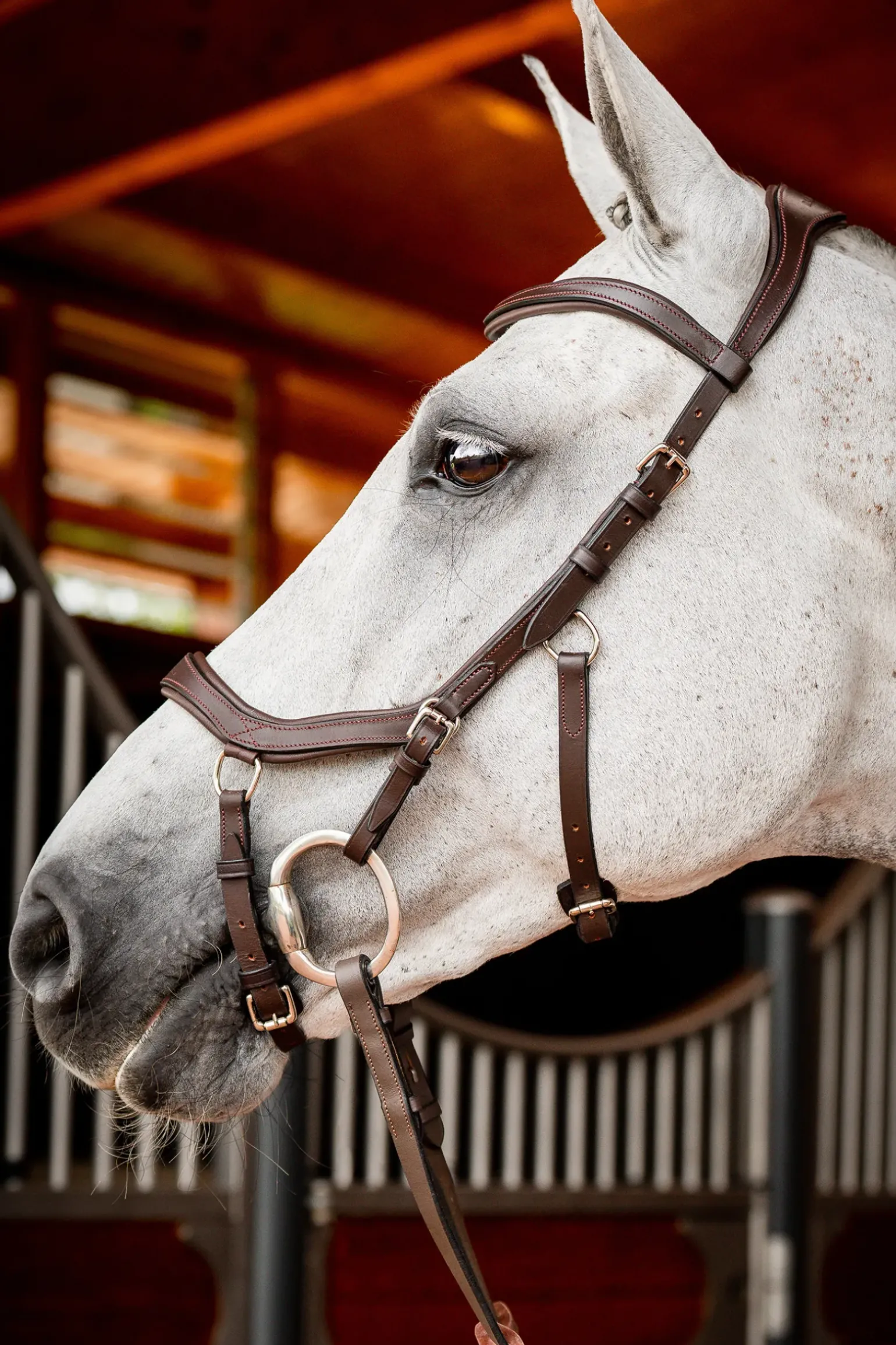 Filet De Concours Horseware Rambo Micklem 2 Avec Rênes