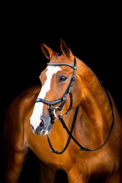 Filet De Concours Horseware Rambo Micklem 2 Diamante