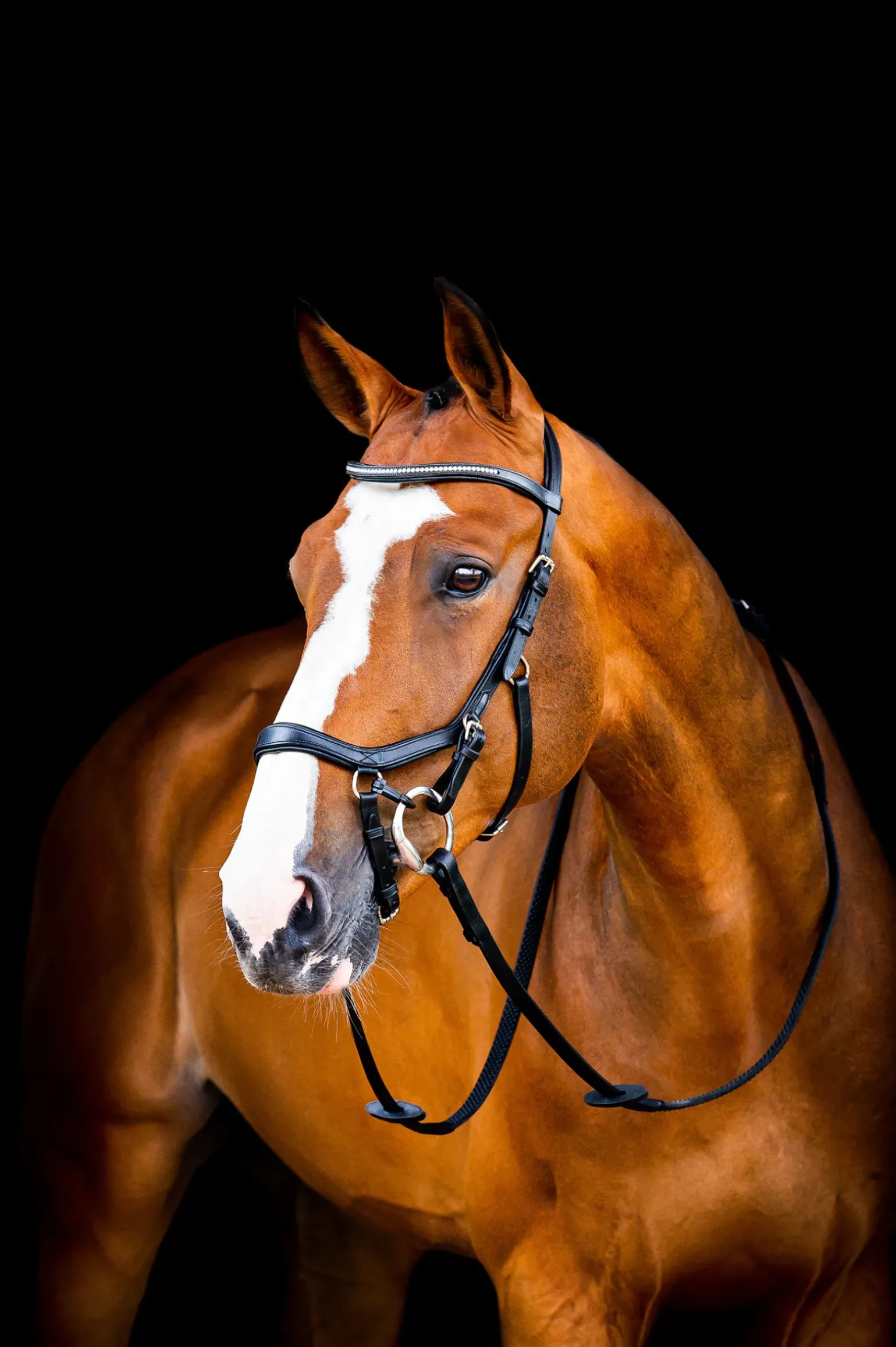 Filet De Concours Horseware Rambo Micklem 2 Diamante