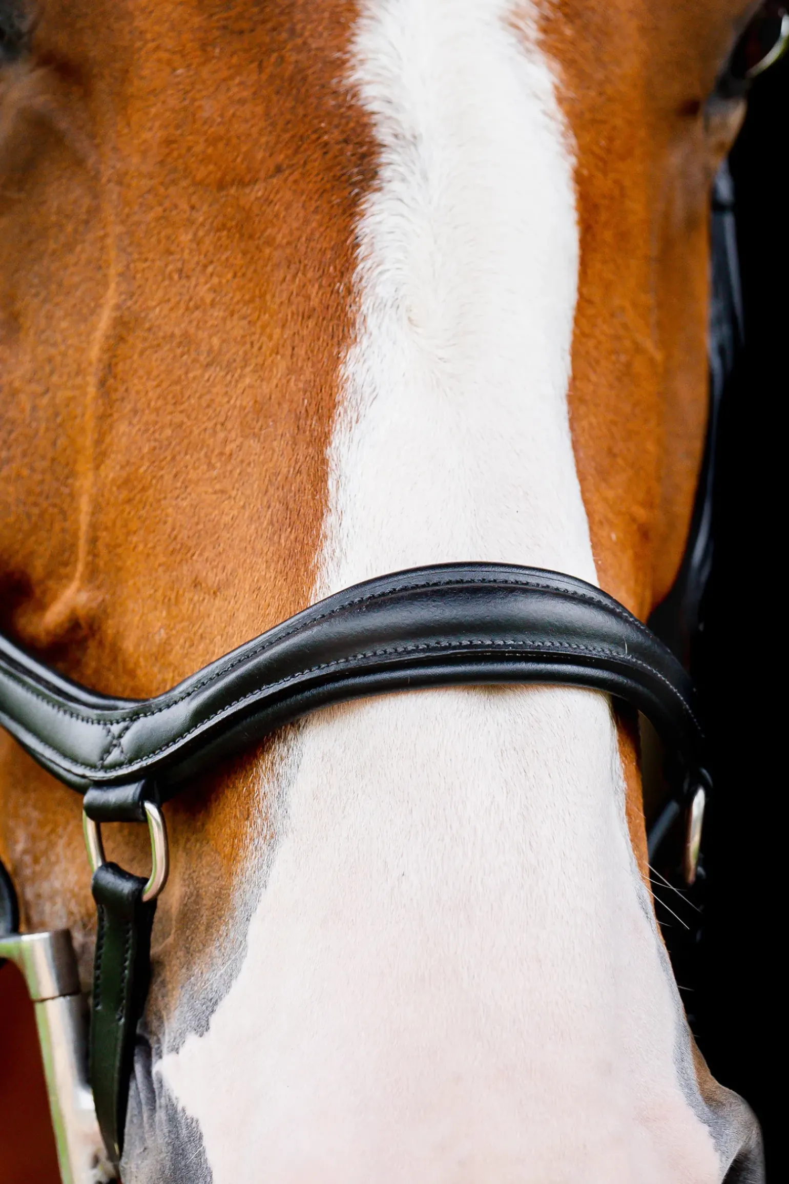 Filet De Concours Horseware Rambo Micklem 2 Diamante