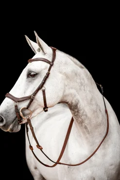 Filet De Concours Horseware Rambo Micklem 2