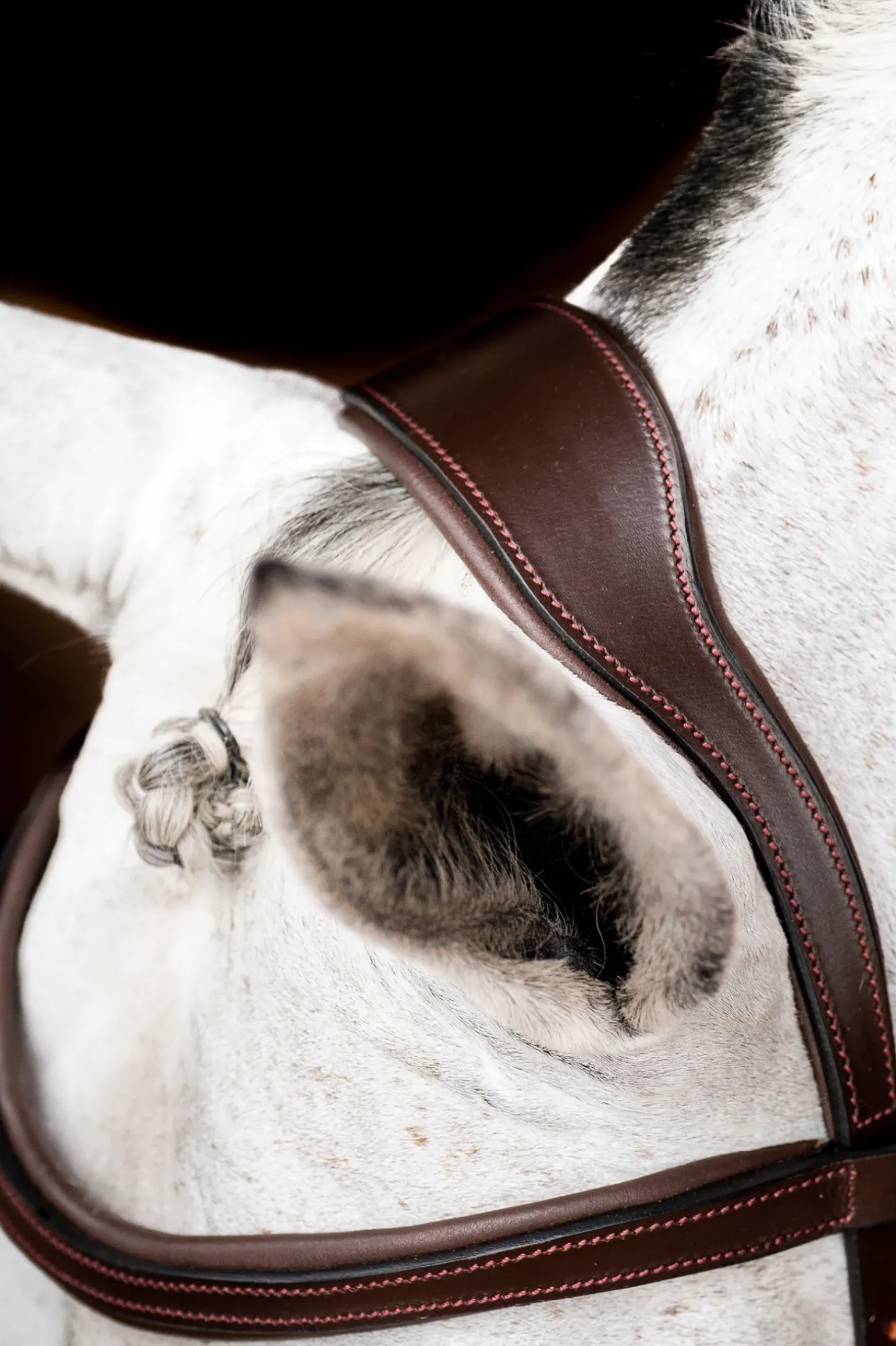 Filet De Concours Horseware Rambo Micklem 2