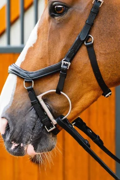 Filet De Concours Horseware Rambo Micklem 2 Deluxe