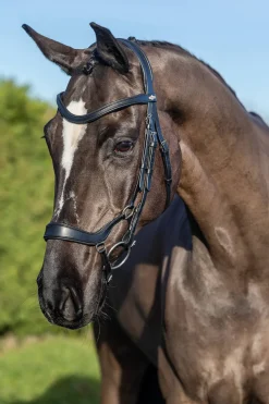 Filet De Dressage Lemieux Arika Drop