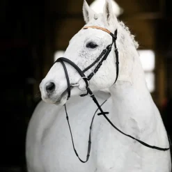 Filet Horze Poney
