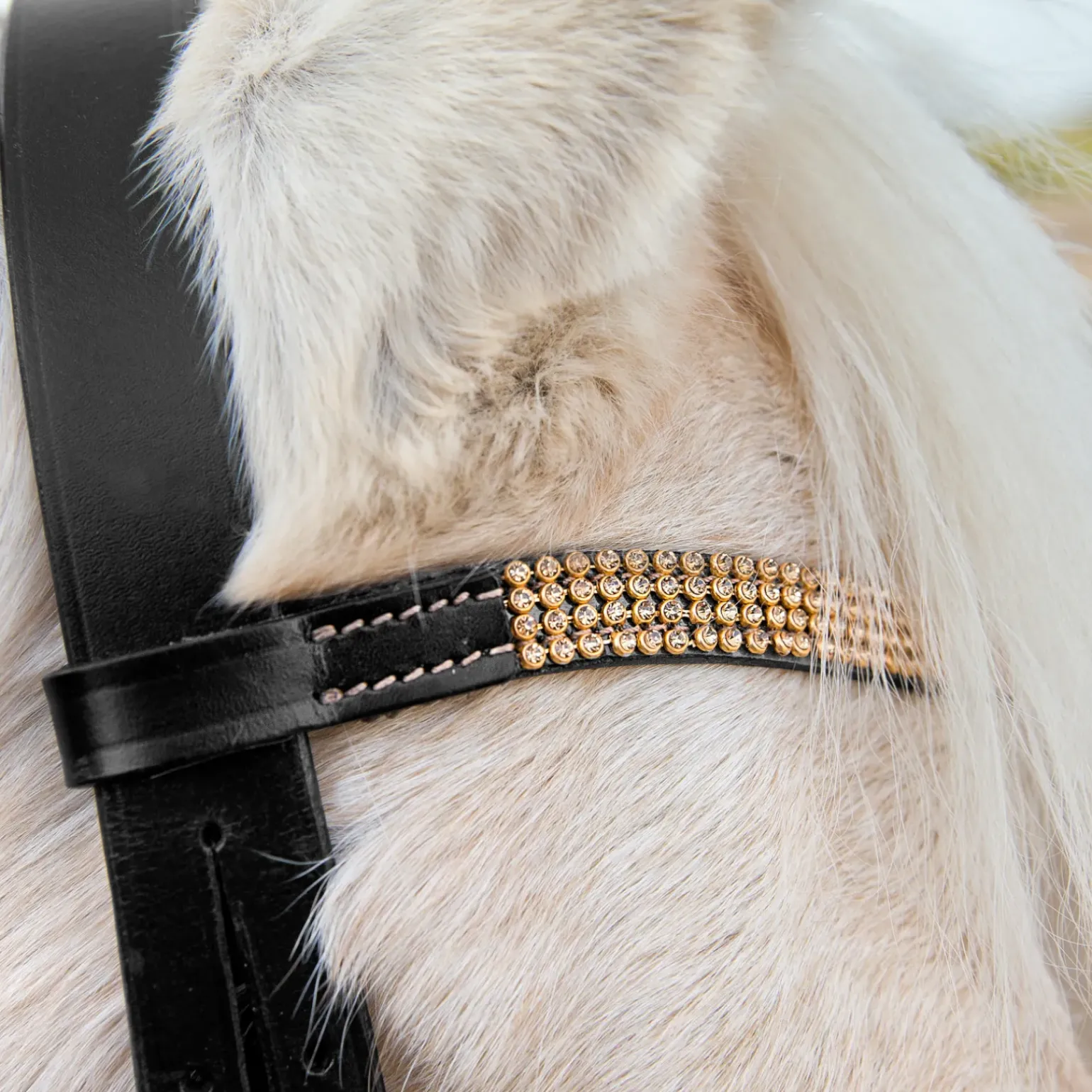Filet Horze Poney