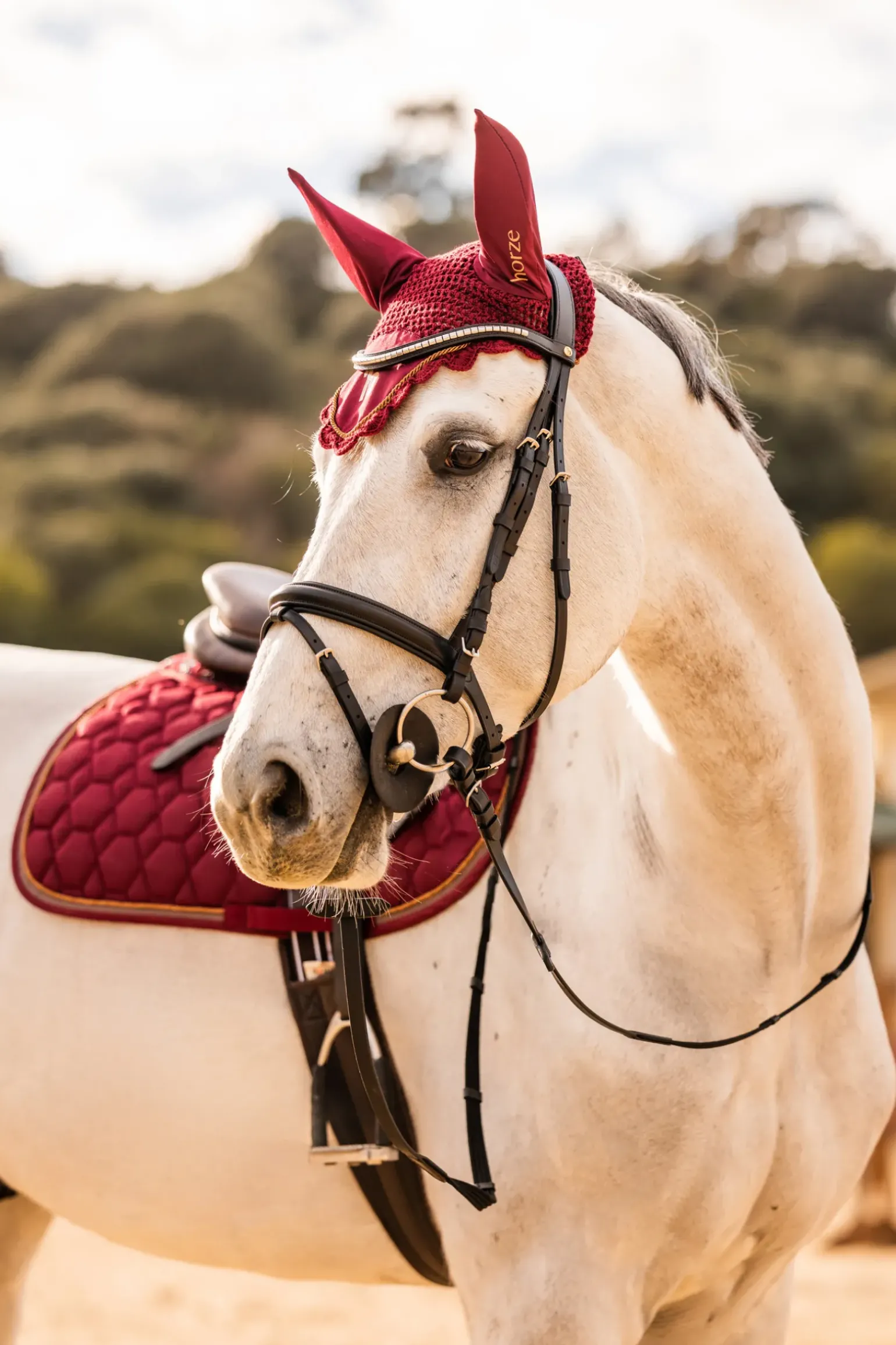 Filet Horze Safari Clincher