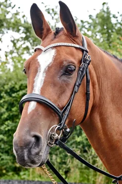 Filet John Whitaker Lynton Avec Un Frontal De Rechange