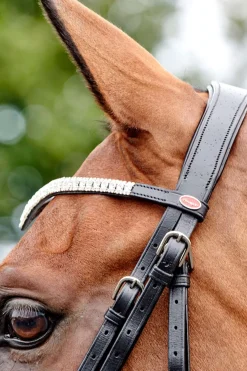 Filet John Whitaker Lynton Avec Un Frontal De Rechange