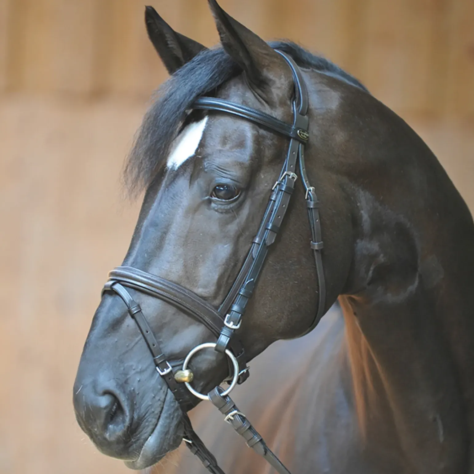 Filet Quentin Ecoline Kavalkade, Muserolle Combinee