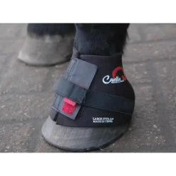 F.R.A. Bandes Cavallo, Xl