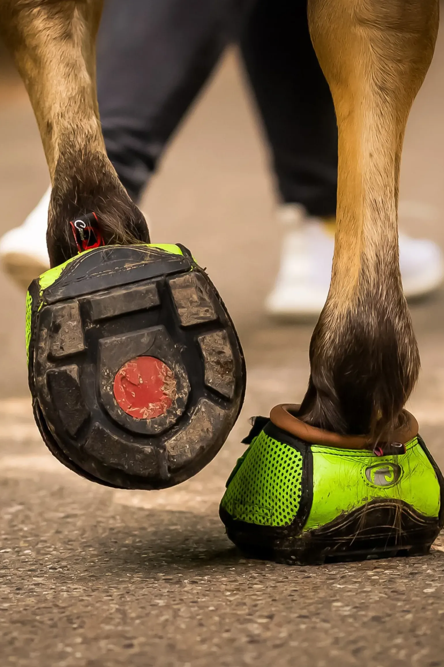 F.R.A. Boots A Sabots Cavallo Trek Slim