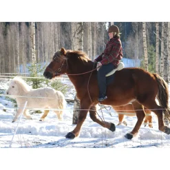 F.R.A. Boots A Sabots Simple Slim Cavallo