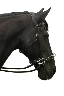 Fra Caval Compl. Cavemore Bridle (Syst.2) W/ Scissors & Reins