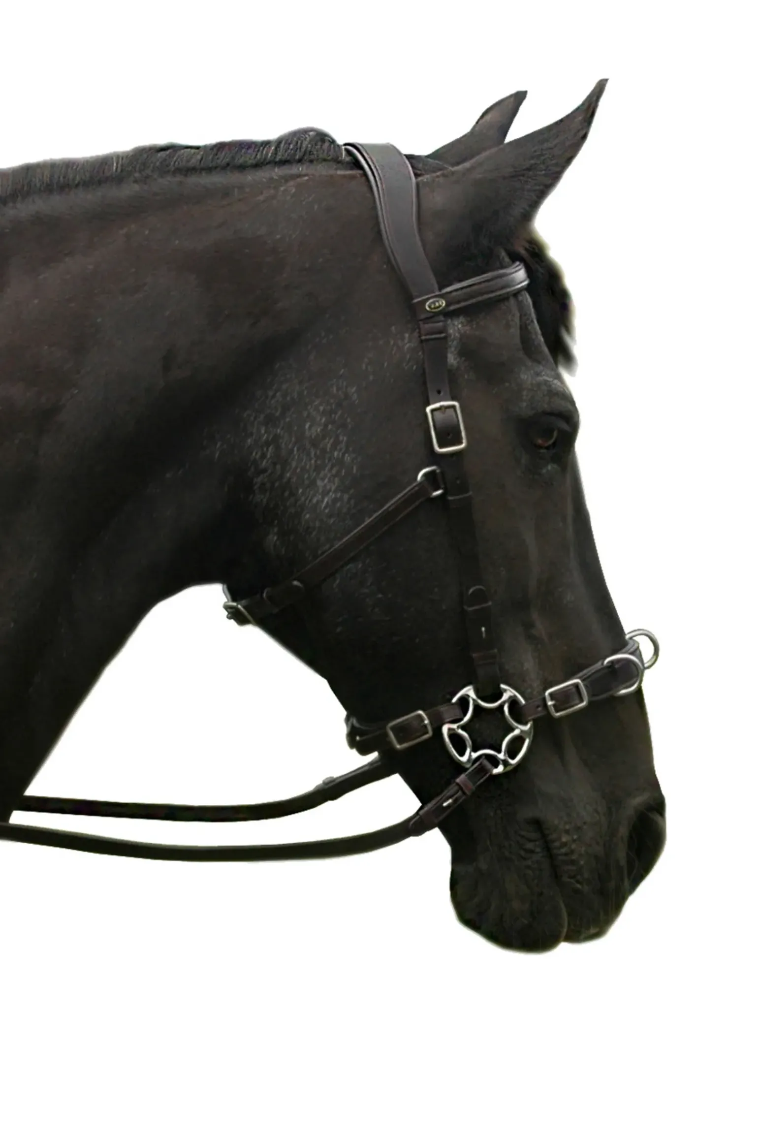 Fra Caval Compl. Cavemore Bridle (Syst.2) W/ Scissors & Reins