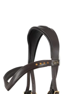 F.R.A. Glory Systeme 5 / Ennasure Bitless, Marron