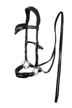 F.R.A. Glory Systeme 2 / Hackamore Noire