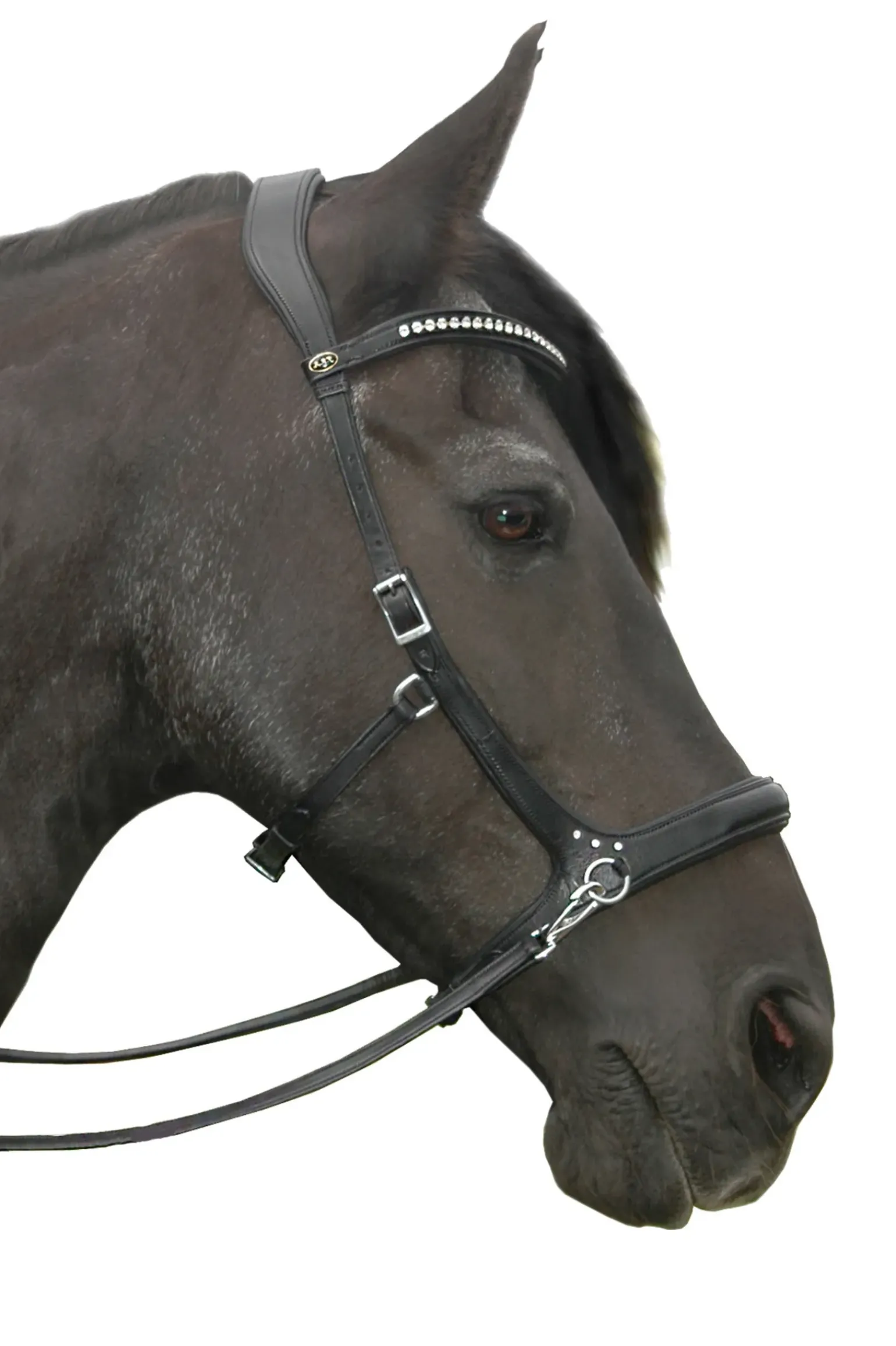 Fra Rebecca Sidepull (System 3), Crystal Finishing W. Rein