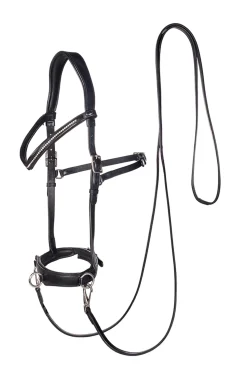 F.R.A. Wendy B Cavesson, Bitless Bridle, Leather Reins W/ Clip