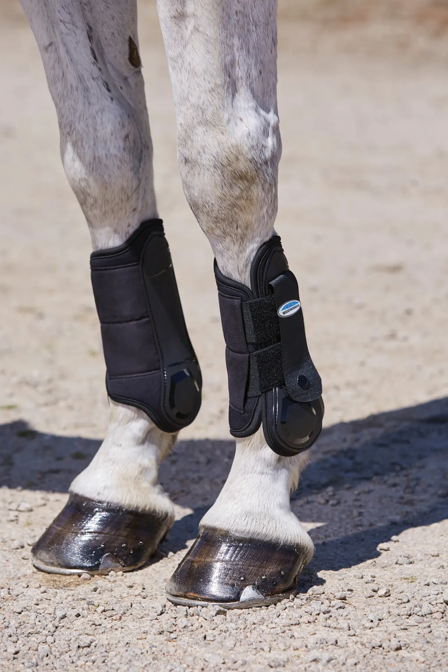 Guetres Anterieures Cross Country Flexi Shell Weatherbeeta