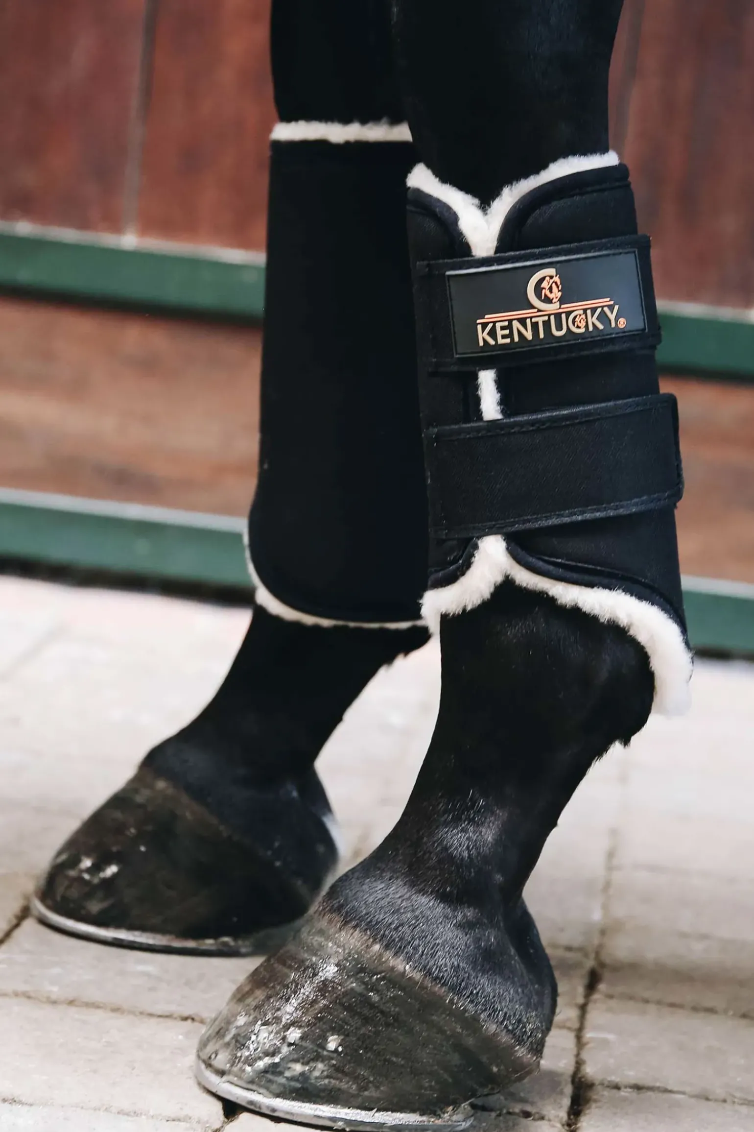 Guetres De Competition Kentucky Horsewear Solimbra, Posterieur