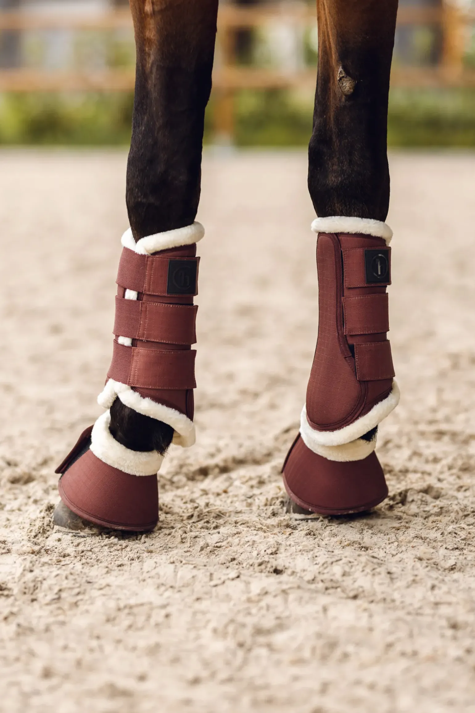 Guetres De Protection Fermees Protege-Tendons Horze Terrazzo