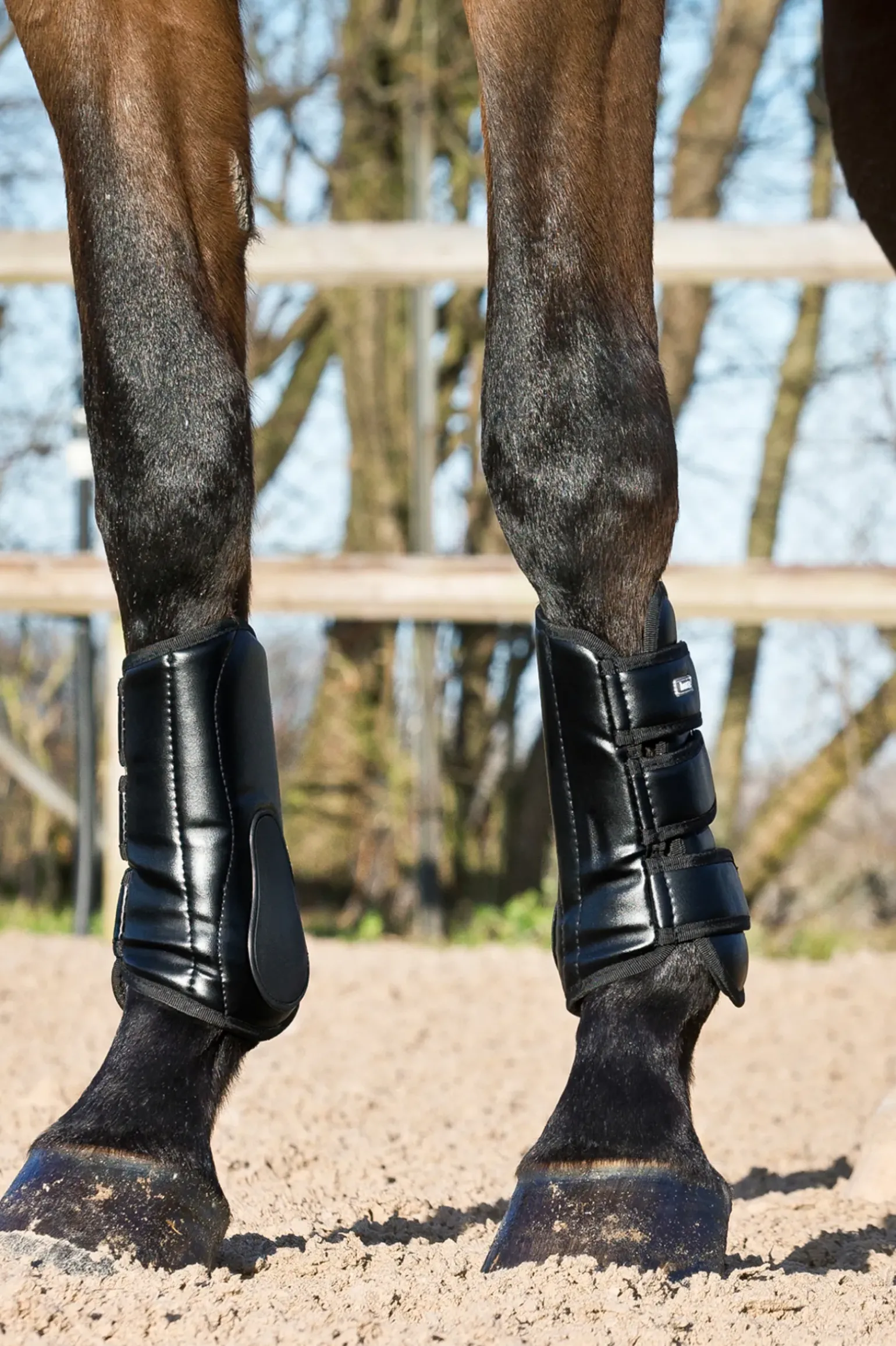 Guetres De Protection Fermees, Protege-Tendons Horze Laval