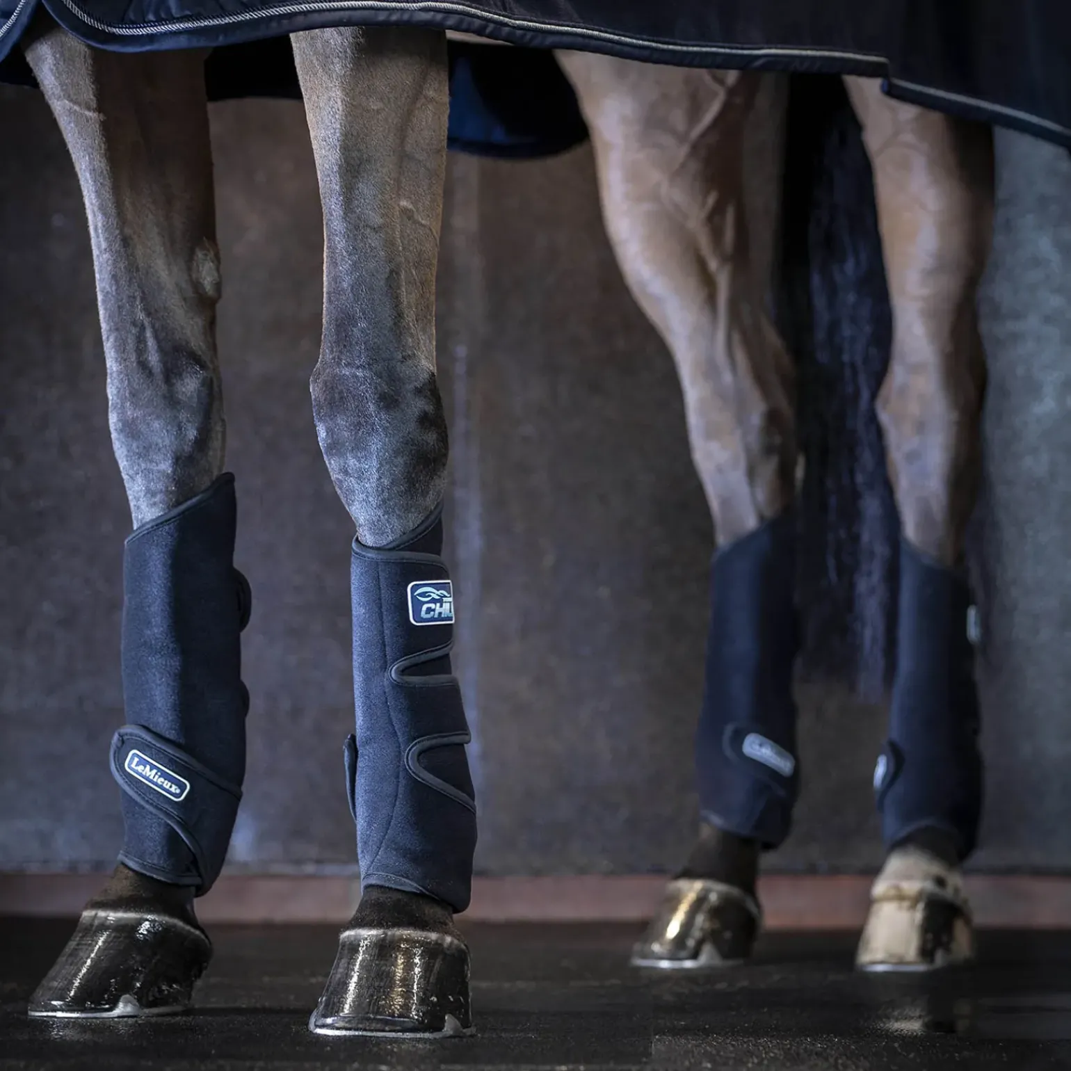 Guetres De Refroidissement Le Mieux Tendon Chill