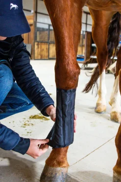 Guetres Horseware Ice-Vibe