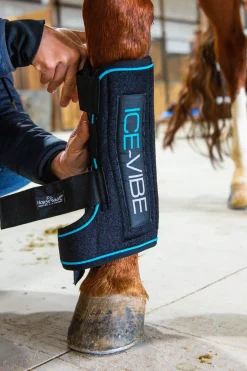 Guetres Horseware Ice-Vibe