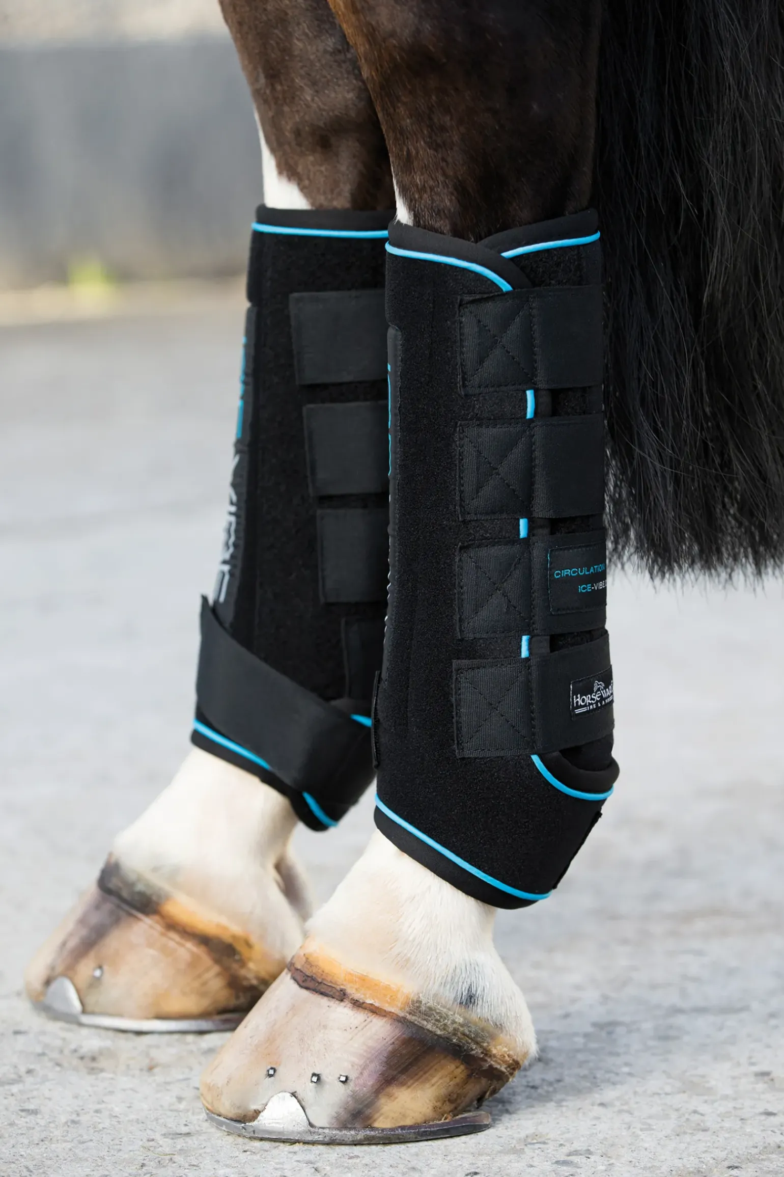 Guetres Horseware Ice-Vibe