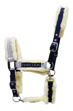 Harcour Hizia Licol