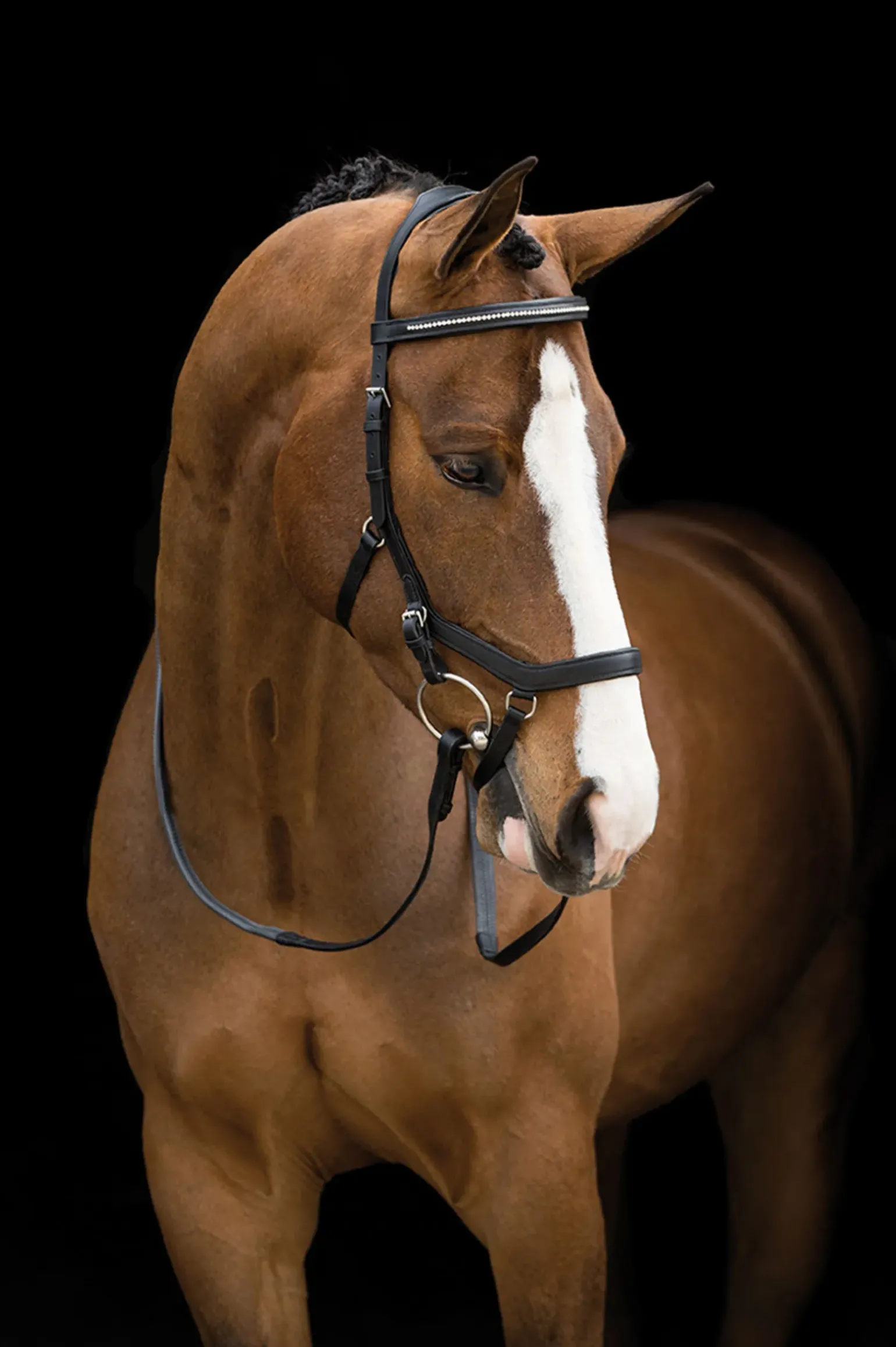 Horseware Rambo Micklem Diamante Comp
