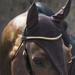 Jacson Browband Cambridge
