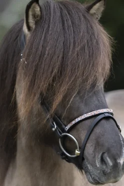 Kavalkade Ferskja English Noseband For Aradis Icelandic Bridle