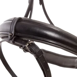 Kavalkade Grey Bridle
