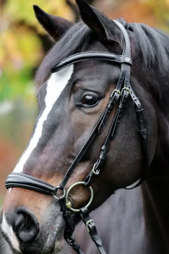 Kavalkade Proline Anna Bridle Dropped Noseband