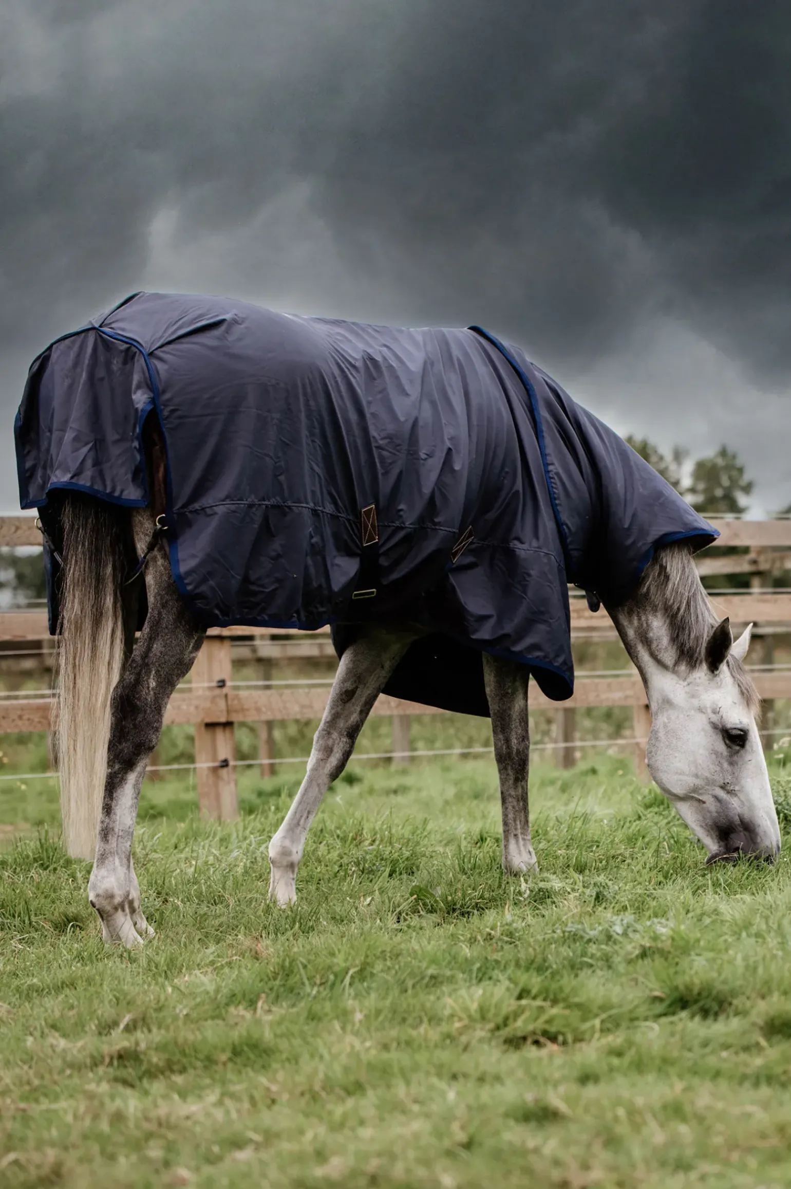 Kentucky Horsewear All Weather Hurricane Turnout, 50G