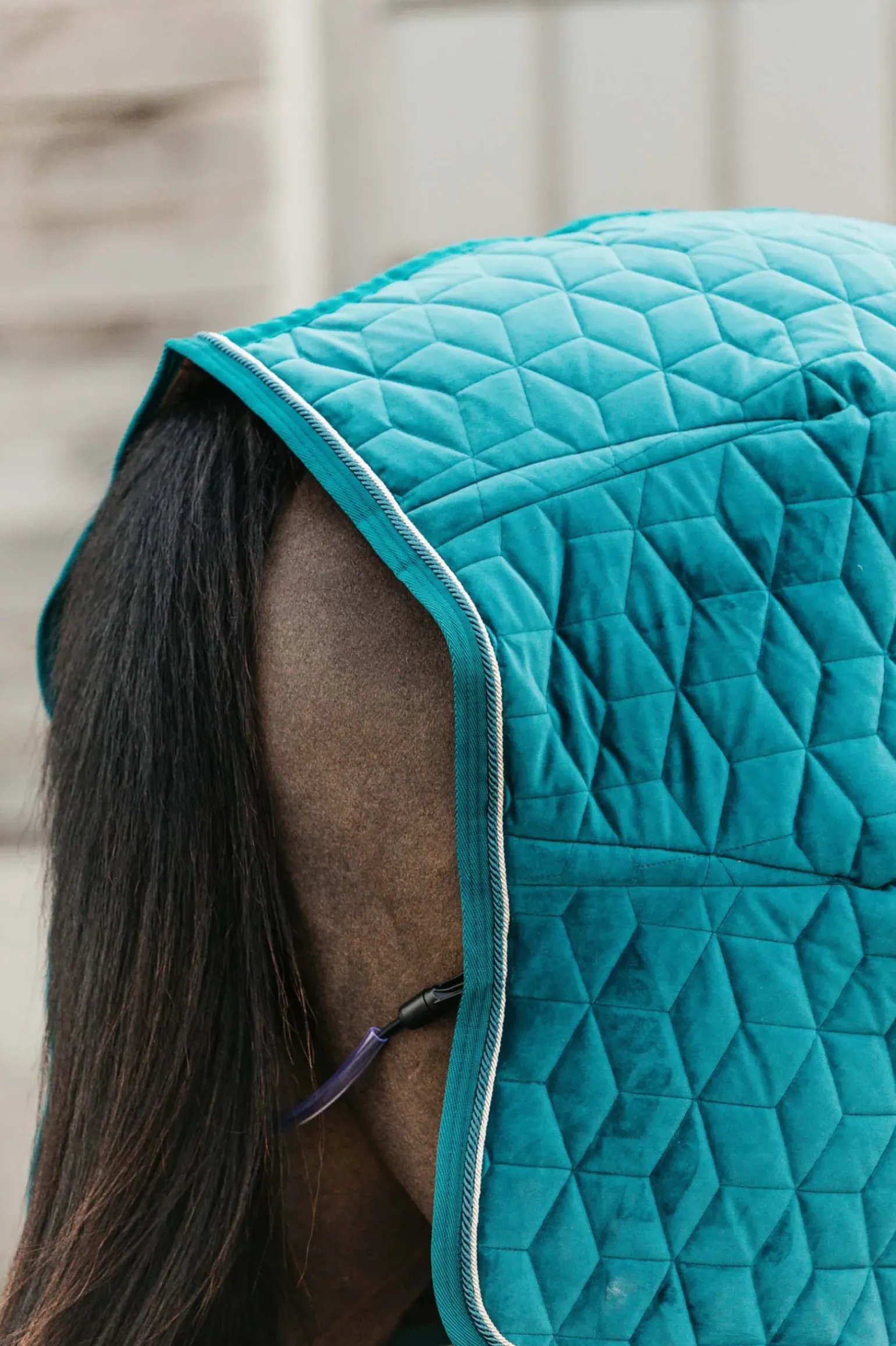 Kentucky Horsewear Couverture De Presentation Velvet, 160G