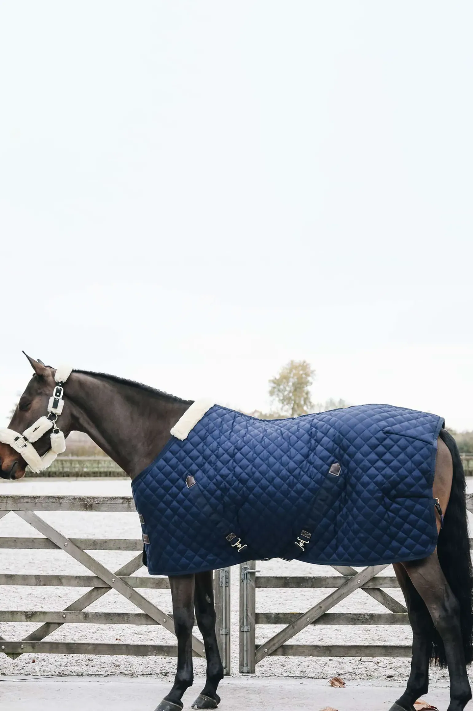 Kentucky Horsewear Couverture D'écurie, 200G